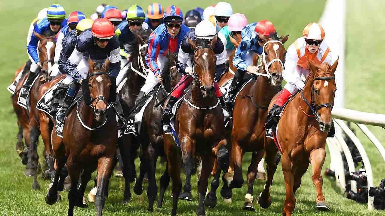 Horses racing at the Melbourne Cup