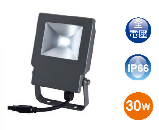 【燈王的店】舞光 LED 30W 戶外洗牆燈 正白/暖白 ☆OD-FL30