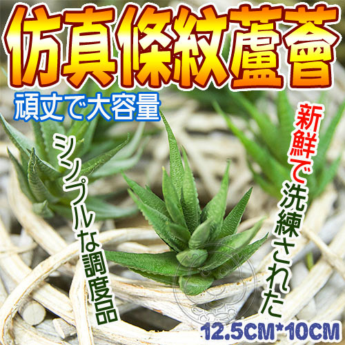 【培菓幸福寵物專營店】仿真多肉植物條紋蘆薈