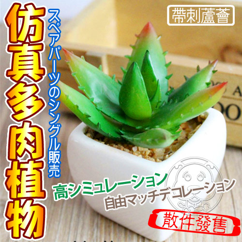 【培菓幸福寵物專營店】仿真多肉植物帶刺蘆薈