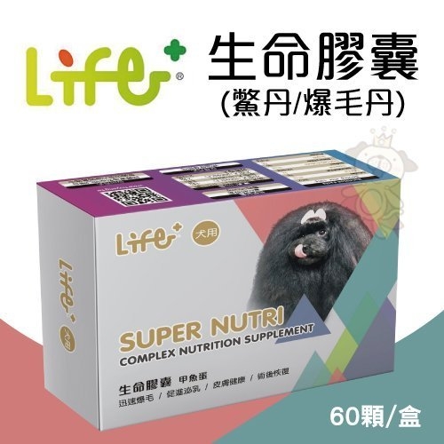 『寵喵樂旗艦店』Life+《生命膠囊(鱉丹/爆毛丹)》60顆/盒 天然食品、無副作用