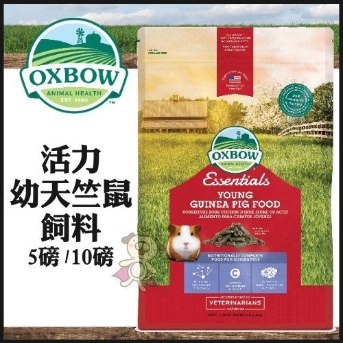 『寵喵樂旗艦店』美國OXBOW 活力幼天竺鼠5LB