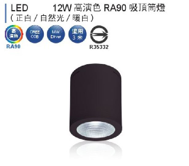 【燈王的店】 LED 12W 吸頂式筒燈 黑框 全電壓 白光/自然光/暖白光 (適用三米) ☆ LEDCEB12-BK-L2