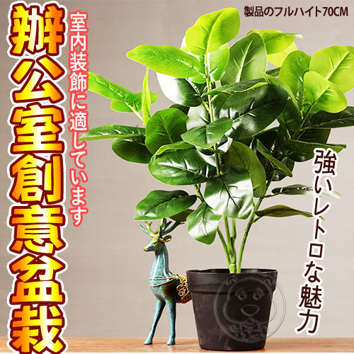 【培菓幸福寵物專營店】辦公室創意盆栽約70CM