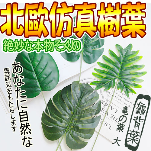 【培菓幸福寵物專營店】北歐ins簡約風仿真樹葉植物龜背葉特大/支