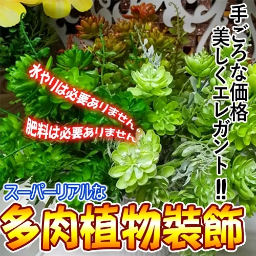 【培菓幸福寵物專營店】假花多肉植物綠植物/支