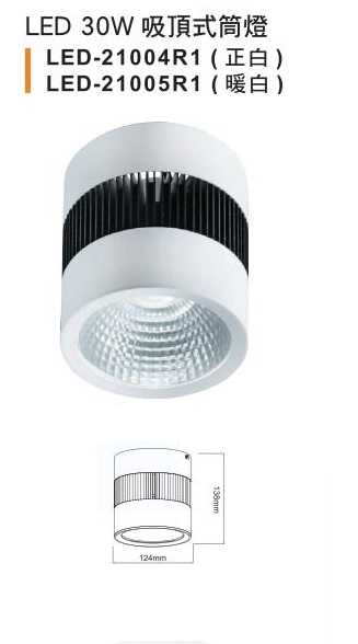 燈飾燈具【燈王的店】LED30W吸頂式筒燈(LED21004R1)(正白)