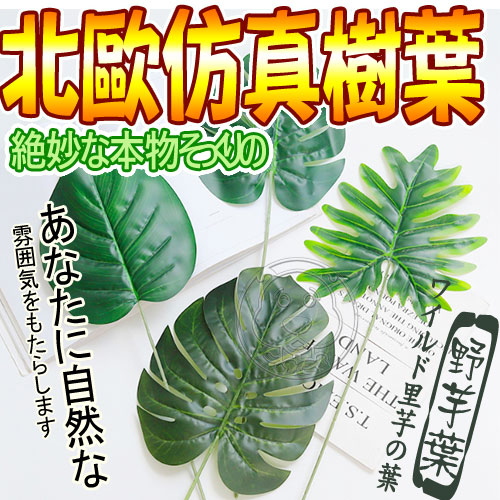 【培菓幸福寵物專營店】北歐ins簡約風仿真樹葉植物野芋葉小/支