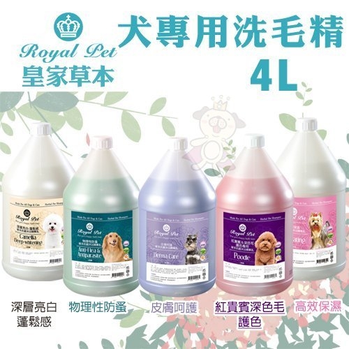 『寵喵樂旗艦店』Royal Pet皇家寵物 犬專用洗毛精4L·純天然草本成分 溫和不刺激 狗用洗毛精