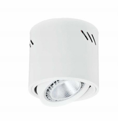 【燈王的店】 節能省電 LED AR111 12W 吸頂燈 筒燈  白框  白光/黃光☆TYL343+LED-AR111-12W