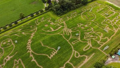 The stunning 15-acre Gruffalo maze just 90 minutes from Manchester