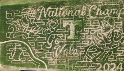 Oakes Farm honors UT baseball's College World Series win with cool corn maze design