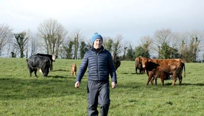 ‘I’m selling dry cows and early-maturing bullocks to ensure I have enough fodder for winter’