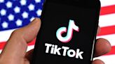 TikTok warns of US ban without free speech court ruling