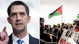 Sen. Tom Cotton wants to get tough on anti-Israel protesters: ‘Painful to have their skin ripped off’