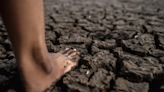Negacionismo climático está colocando o planeta à beira de um colapso - AMAZÔNIA BRASIL RÁDIO WEB
