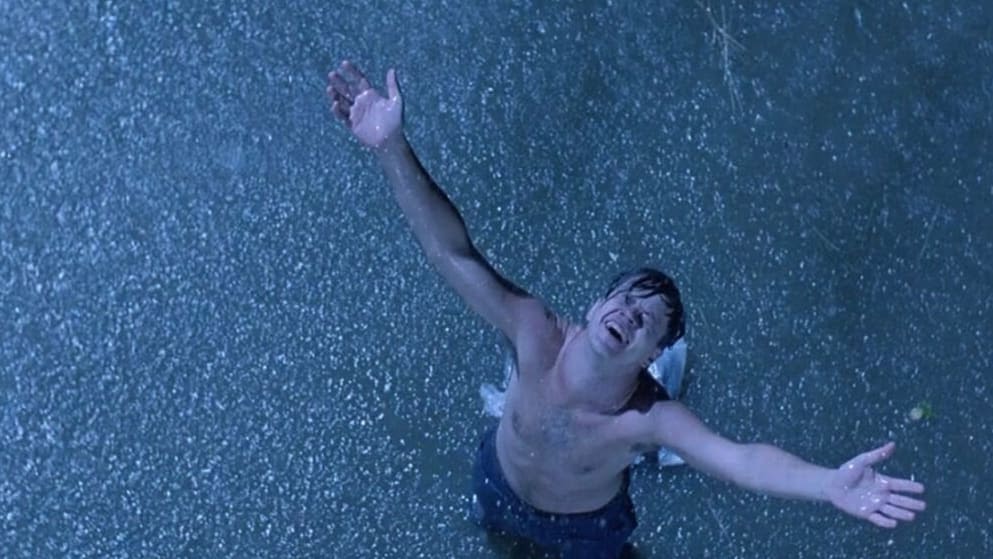 ‘Shawshank Redemption’s’ ‘River of S**t’ Was Full of Actual Cow Poop