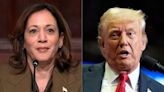 Harris vs. Trump: What do the polls tell us about an unprecedented presidential race?
