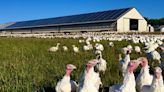 There's a push underway to help more US farms save big with clean energy