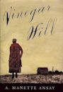 Vinegar Hill (novel)