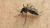 Clark County health department receives almost $22K for mosquito trapping, surveillance