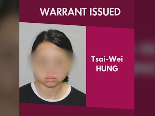 抓到了！台灣背包客縱火燒車被通緝 澳警公布照片秒被認出