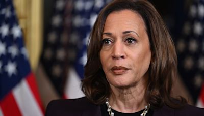 'Too little, too late': Harris warned she could repeat historic mistake with VP pick