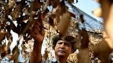 Cambodia's famed Kampot pepper withers in scorching heatwave