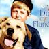 A Dog of Flanders (1959 film)