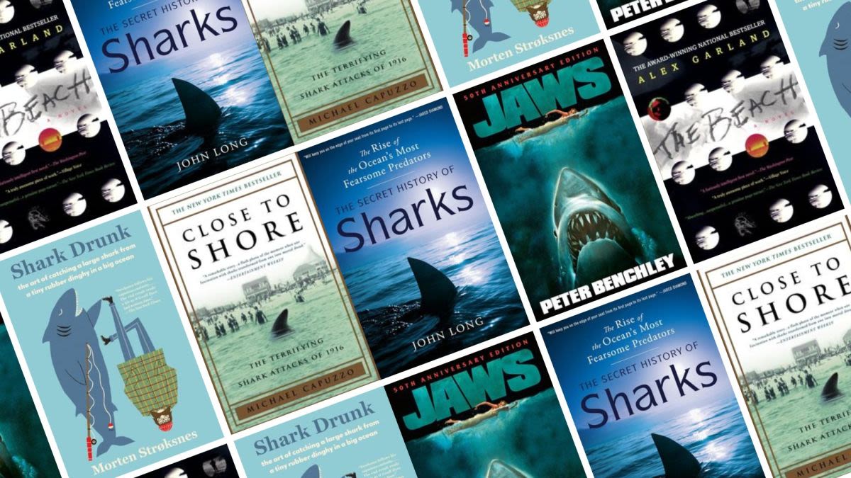 The 23 Best Shark Books of All Time