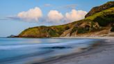 Disturbing findings wash up on New Zealand shoreline