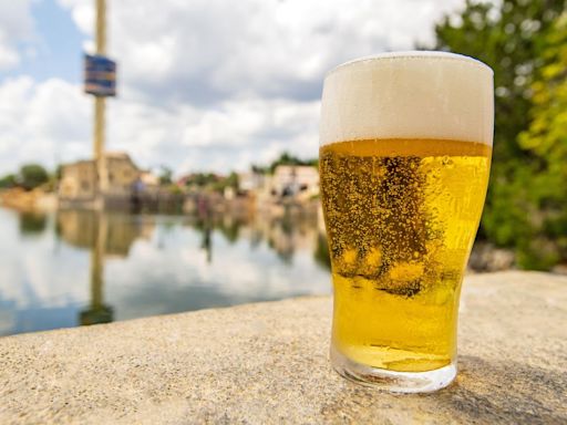 SeaWorld Orlando Bringing Back Free Beer This Summer