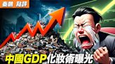 【秦鵬觀察】中國GDP化妝術曝光 國九條難救市