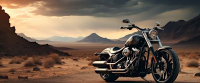 Harley-Davidson, Inc. (NYSE:HOG) Q1 2024 Earnings Call Transcript
