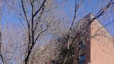 1 person in critical condition after fire breaks out in Montreal social housing complex