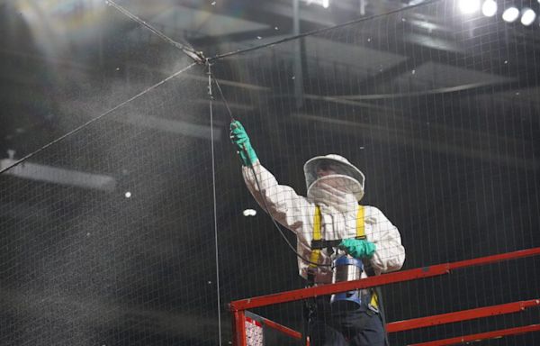 Hero beekeeper Matt Hilton getting a Topps baseball card