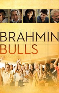 Brahmin Bulls