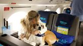 Aerolínea exclusiva para mascotas y sus dueños lanzará vuelos en mayo