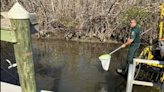 Pescador encuentra mano en el fondo de canal de Florida