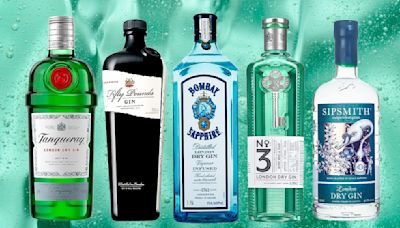 The 14 Absolute Best Gins For Beginner Enthusiasts