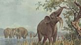 Early humans began wiping out elephant relatives 1.8 million years ago