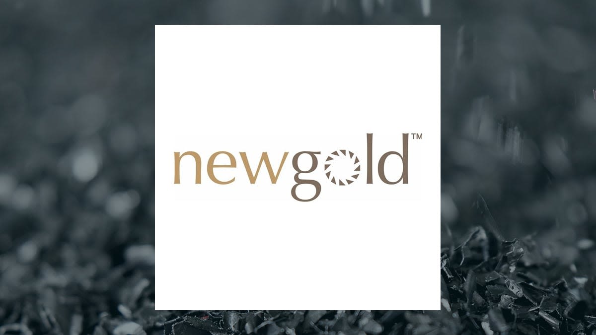 Raymond James Equities Analysts Boost Earnings Estimates for New Gold Inc. (NYSEAMERICAN:NGD)