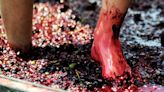 Fancy trying your hand (or feet) at grape treading? Here's where to try it