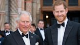 The New Documentary Charles: In His Own Words Draws a Comparison Between the King and Prince Harry