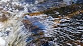 Los caudales ecológicos inciden en la calidad del agua de las ciudades, según un estudio