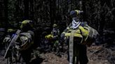 Colombia pierde más de 17,000 hectáreas de vegetación por incendios
