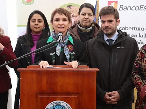 Ministra Tohá anuncia inversión de $32 mil millones para Plan Ercilla: “En Chile nadie se debe quedar atrás” - La Tercera