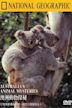 Australia's Animal Mysteries