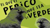 Refranes mexicanos: el que es perico, dónde quiera es verde, su origen y significado