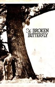 The Broken Butterfly